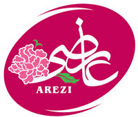 Arezi-عارضی